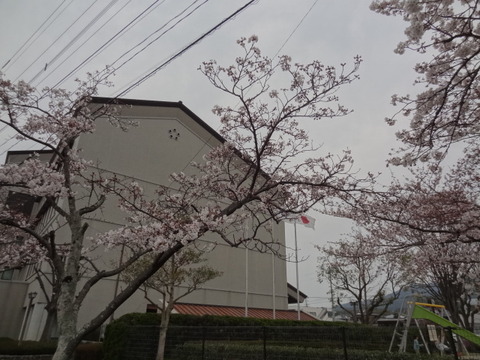 DSC00570