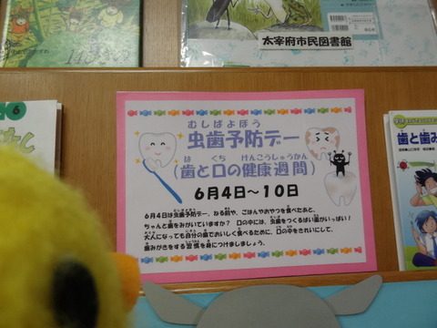 DSC08647