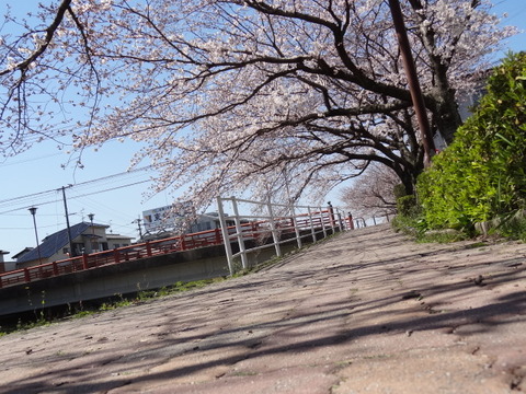 DSC08206
