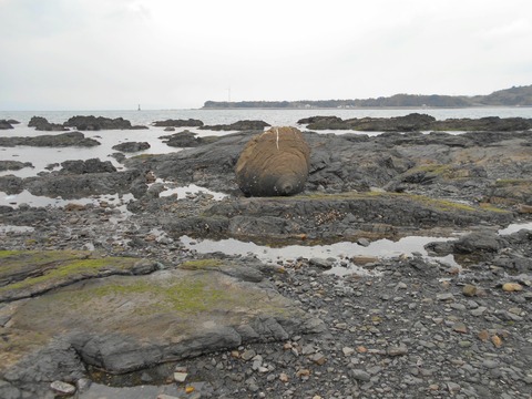 027f2d77.jpg