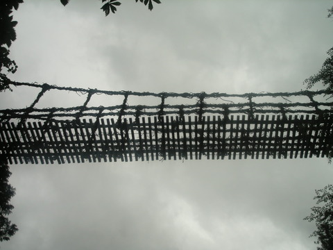 124d0ccb.jpg