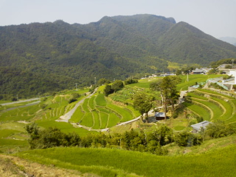 32f432f3.jpg