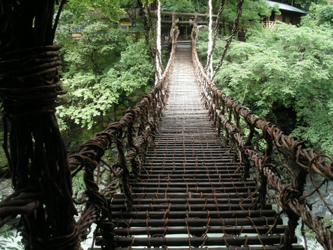 KIF_6905