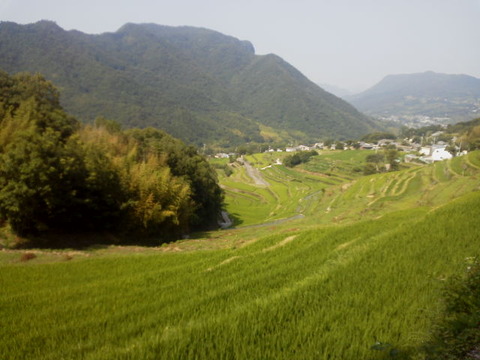 5f06e5f0.jpg
