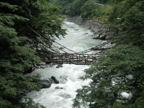 93712f8a.jpg