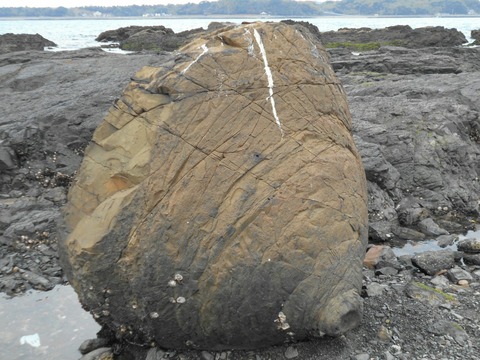 ae0878cf.jpg