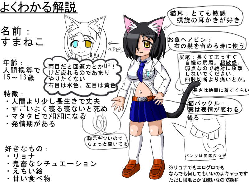 siryouVer4