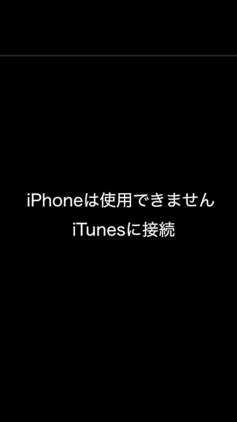 写真 2019-01-15 18 14 39