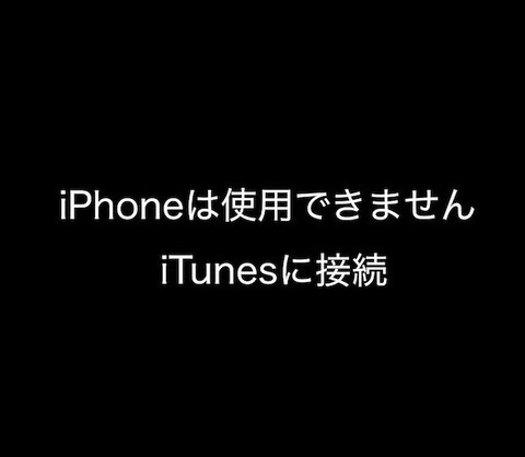 写真 2018-11-18 17 45 25