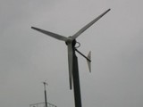 88113dcd.jpg