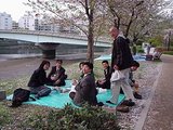 花見