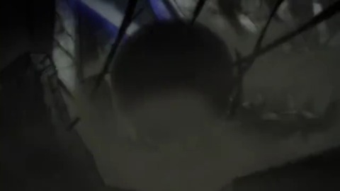mp4_000860818