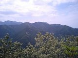 奥武蔵の山並み