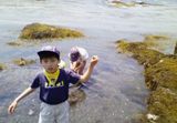 さあ探せ!