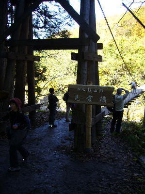 5d04d945.jpg
