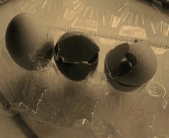 �̤��ˤ�Ȥ���