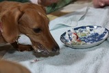 ゆずちゃん