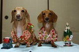 謹賀新年
