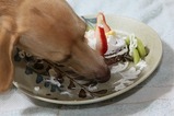 すみちゃん
