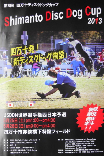 DSC03541