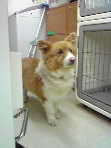 Image052
