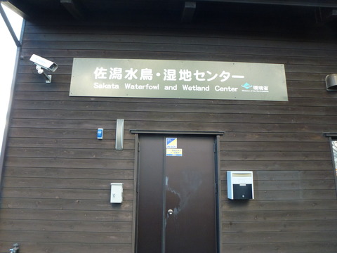 P1050126