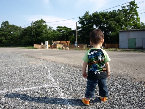 _SX353_BO1,204,203,200_