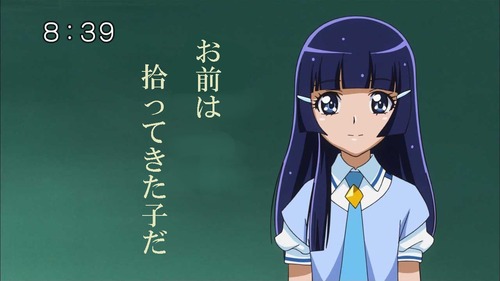ひろってきたこ