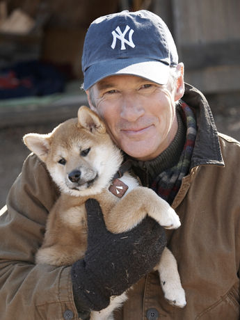 hachi3