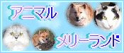 ���˥ޥ��꡼����