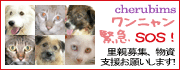 ưʪã����񥱥�ӥ�