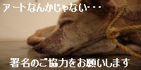 �������ꥫ�Ǹ���Ҥ����ޤ����֤�����ष���¤��ͤ򸫤�ʪ�ˤ��ƻ����Ȥ����ˤޤ��������������ޤ��������ε����Ȥʤ븤(ưʪ)����������ˤ��γ�ư���˻ߤ��륪��饤���̾�ˤ����ϲ�����!!