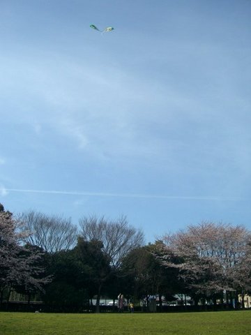 花見凧揚げ