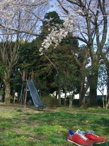 花見滑り台スニーカー