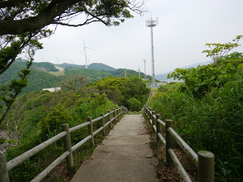 P1020377