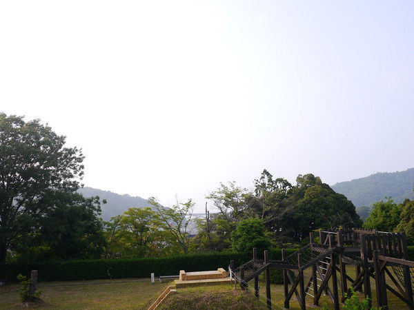 P1000315 P1000315