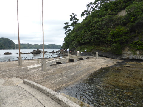 P1010341