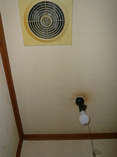 ⑳WC天井ﾋﾞﾌｫｰ
