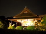 名月観賞会の箏曲演奏。 岡山後楽園 延養亭 2008.9.14