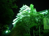 岡山城天守閣のライトアップ風情