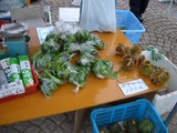 一般的な展示状況♪