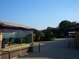 岡山後楽園の盆景を垣間見る 岡山城 2008.10.28
