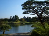 後楽園「沢の池」に臨む岡山城(烏城) 2008.10.28