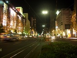 桃太郎大通り(岡山市) 立木イルミネーション 2008.12.1