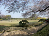 岡山後楽園の桜と唯心山(ゆいしんざん) 2009.4.7