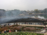 『芝焼き』直後の風景 @ 岡山後楽園 2009.2.9