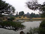珍しき光景の岡山城