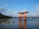 2008年元旦 厳島神社 大鳥居の満ち始め