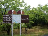 運転免許センターへの道