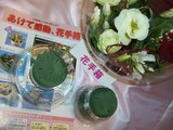 活き活きフラワーボックス 花手箱